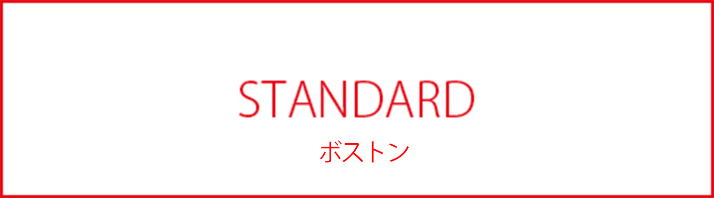 STANDARD_BAGnNOUN_ボストン